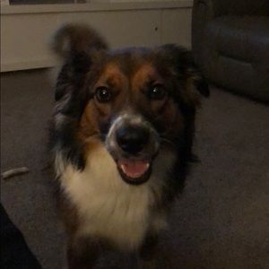 Meet your Posher, Kerissa